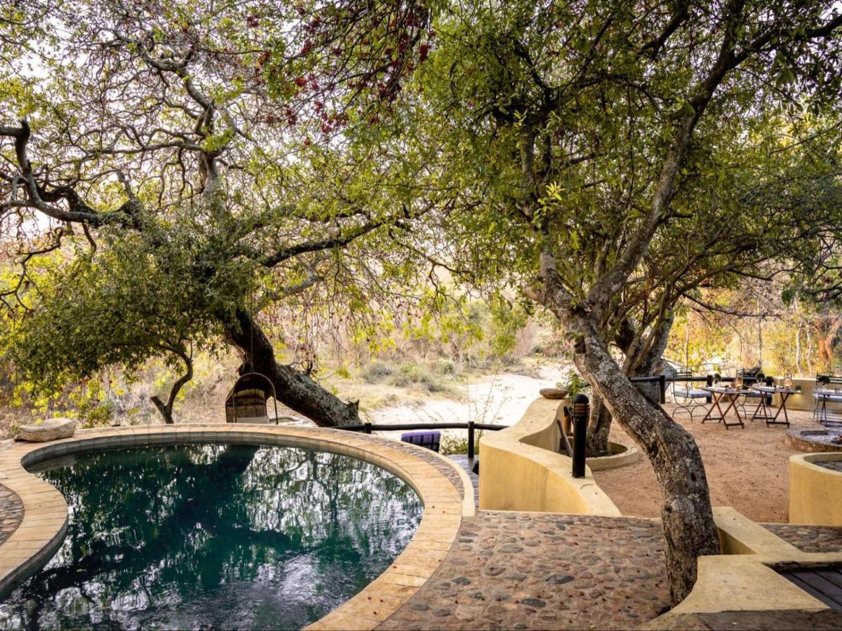 Shimungwe Lodge, Thornybush Game Reserve Hoedspruit Bagian luar foto